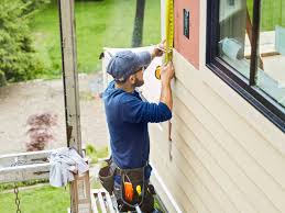 Shed Removal in Belleville, MI